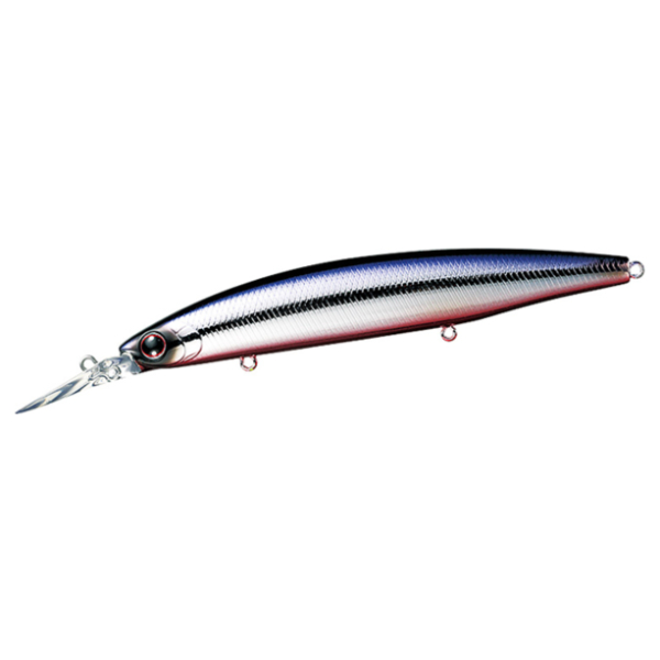 ショアラインシャイナーZ セットアッパー 125S-DR(カタクチレッドベリー)